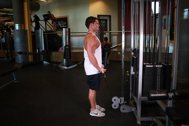 Cable Curl: starting position