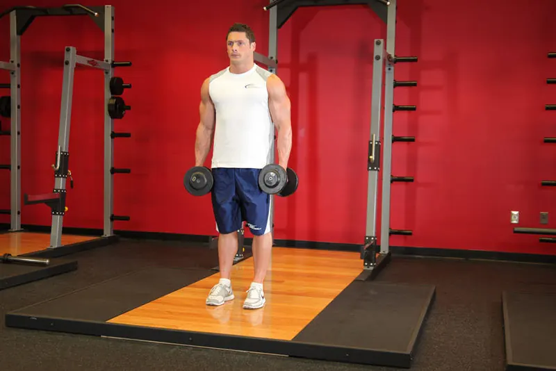Dumbbell Curl: starting position