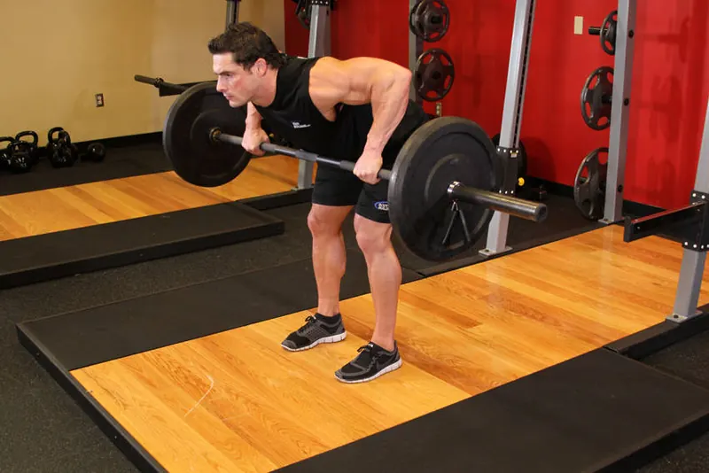 Barbell Rear Delt Row: end position