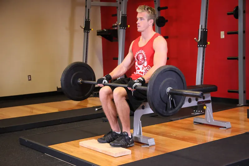 Barbell Seated Calf Raise: starting position