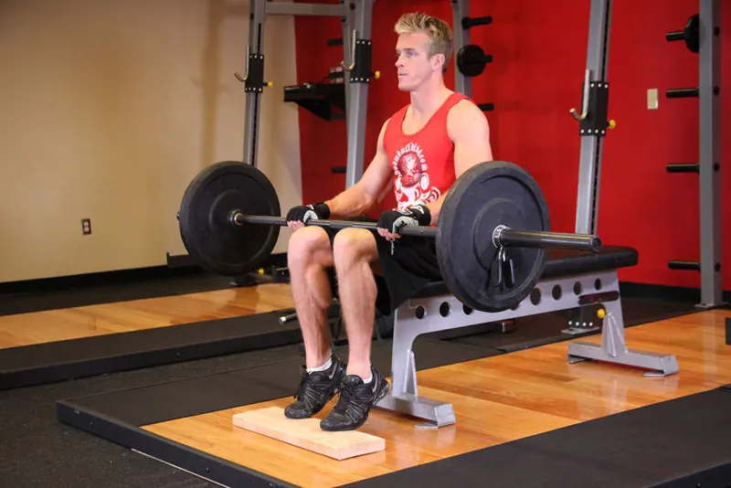 Barbell Seated Calf Raise: end position