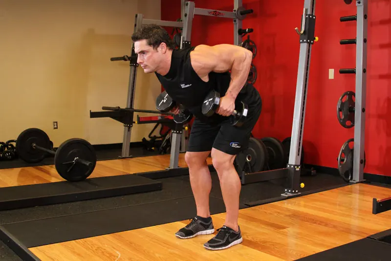 Bent Over Two-Dumbbell Row: end position