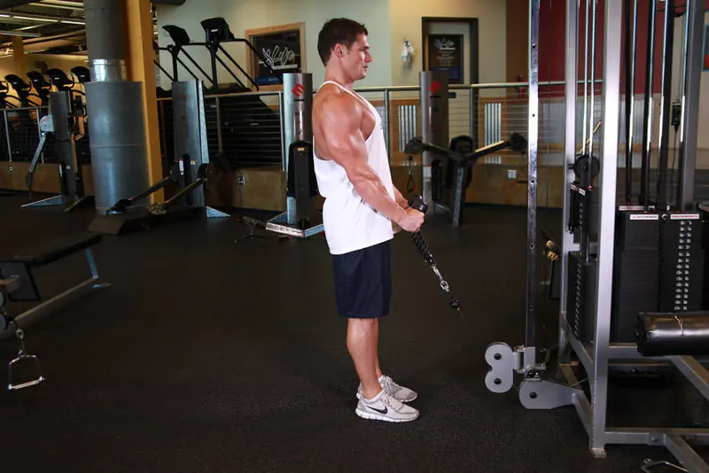 Cable Hammer Curls - Rope Attachment: starting position