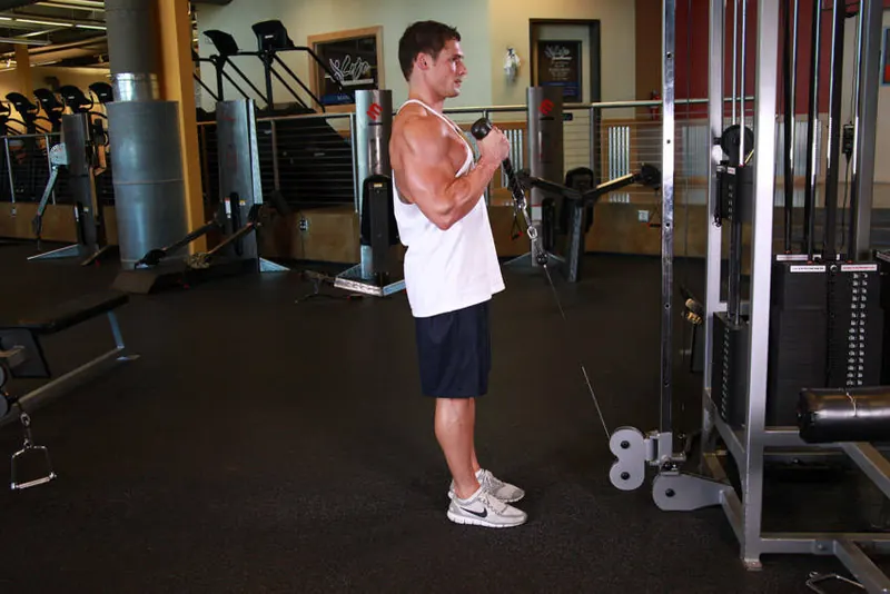 Cable Hammer Curls - Rope Attachment: end position