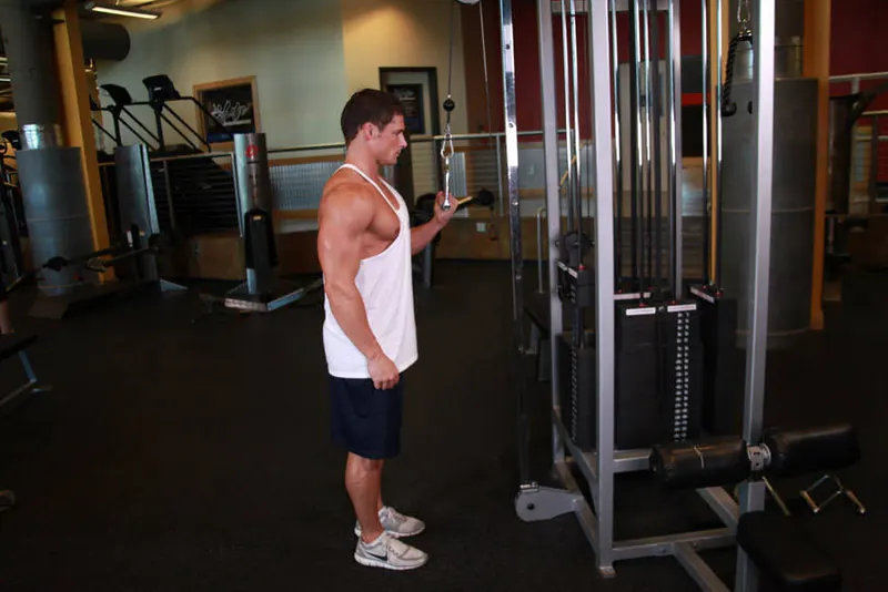 Cable One Arm Tricep Extension: end position