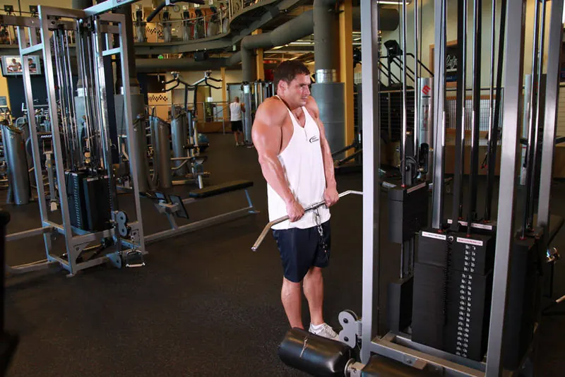 Cable Shrugs: end position