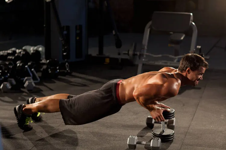 Close-Grip Push-Up off of a Dumbbell: end position