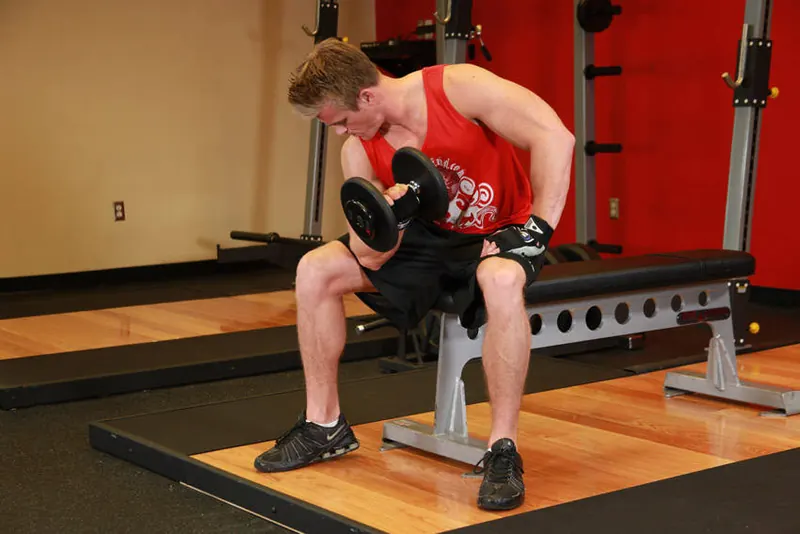 Concentration Curls: end position