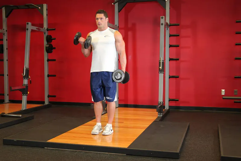 Dumbbell Alternate Bicep Curl: starting position