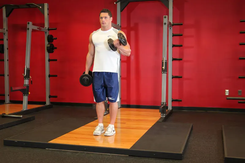 Dumbbell Alternate Bicep Curl: end position
