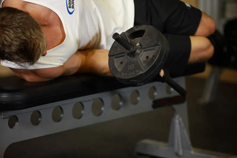 Dumbbell Lying Pronation: end position