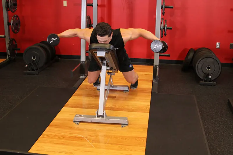 Dumbbell Lying Rear Lateral Raise: end position