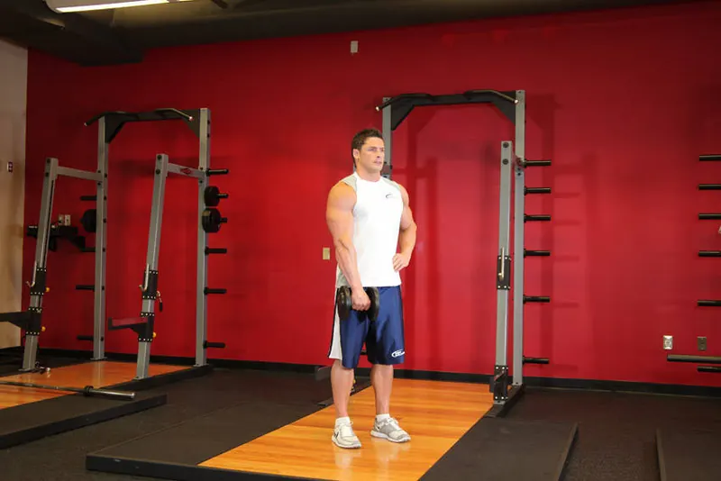 Dumbbell One-Arm Upright Row: end position