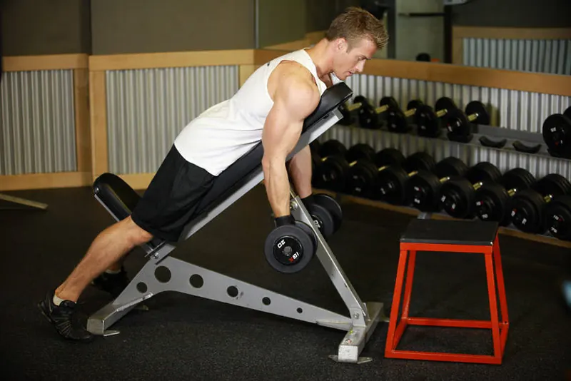 Dumbbell Prone Incline Curl: end position