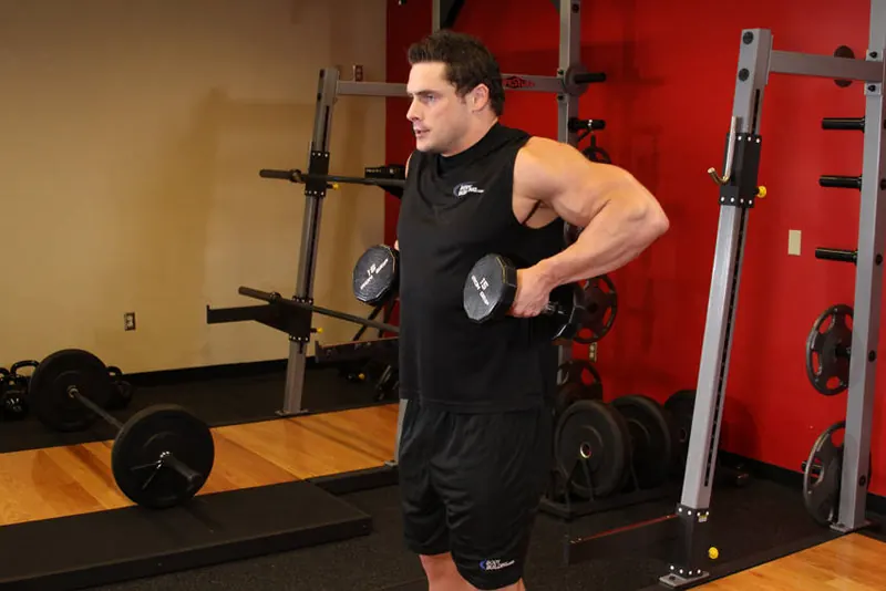 Dumbbell Raise: end position