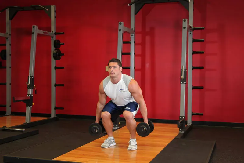 Dumbbell Squat: end position