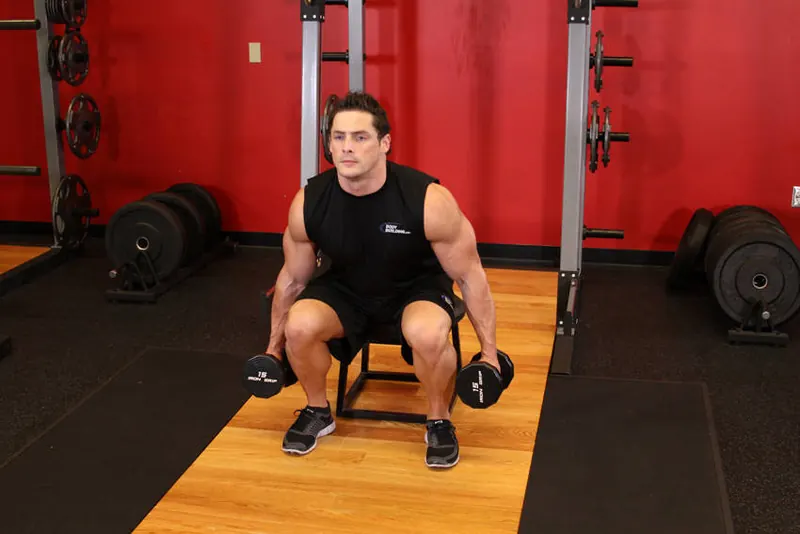 Dumbbell Squat To A Bench: end position