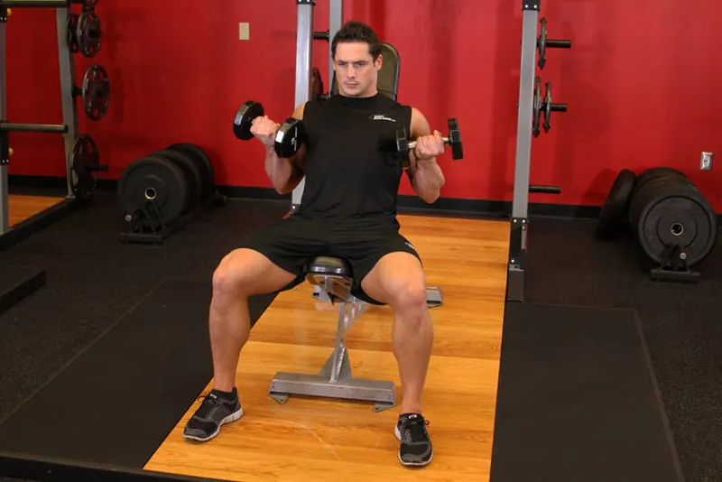 Flexor Incline Dumbbell Curls: end position