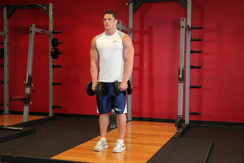 Front Two-Dumbbell Raise: starting position