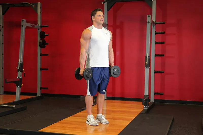Hammer Curls: starting position