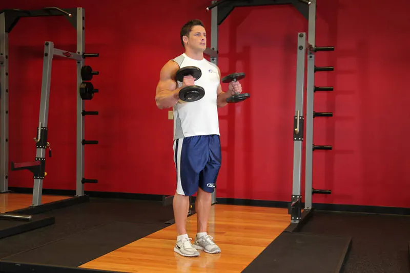 Hammer Curls: end position