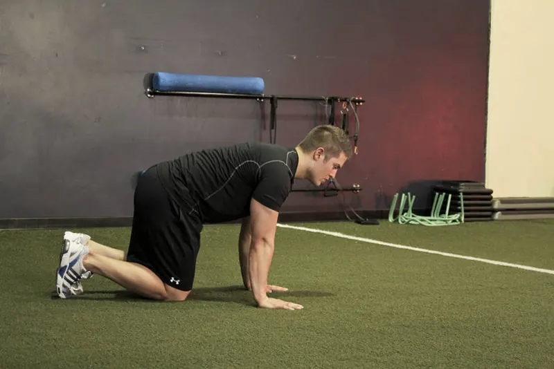 Hip Circles (prone): starting position