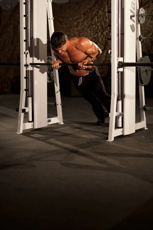 Incline Push-Up Reverse Grip: end position