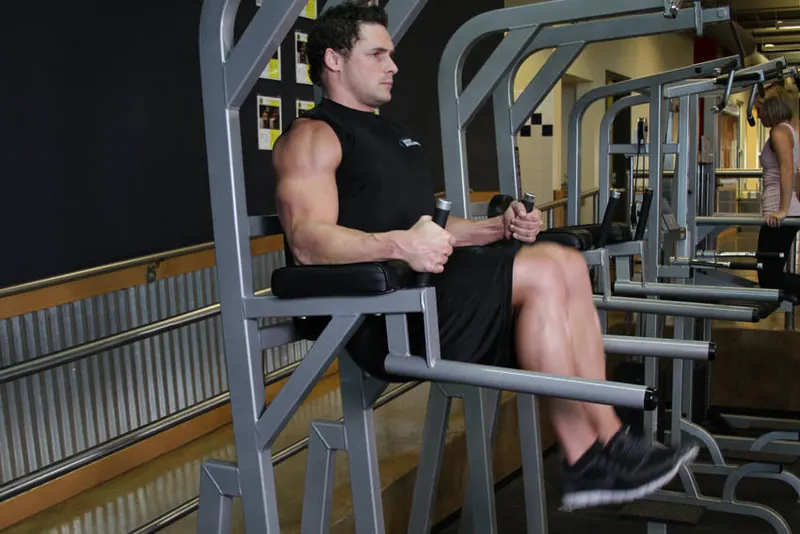 Knee/Hip Raise On Parallel Bars: end position