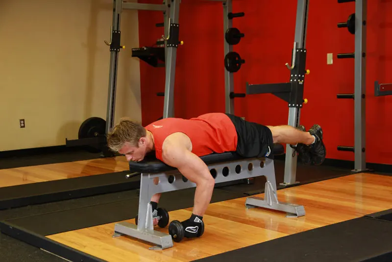 Lying Rear Delt Raise: end position