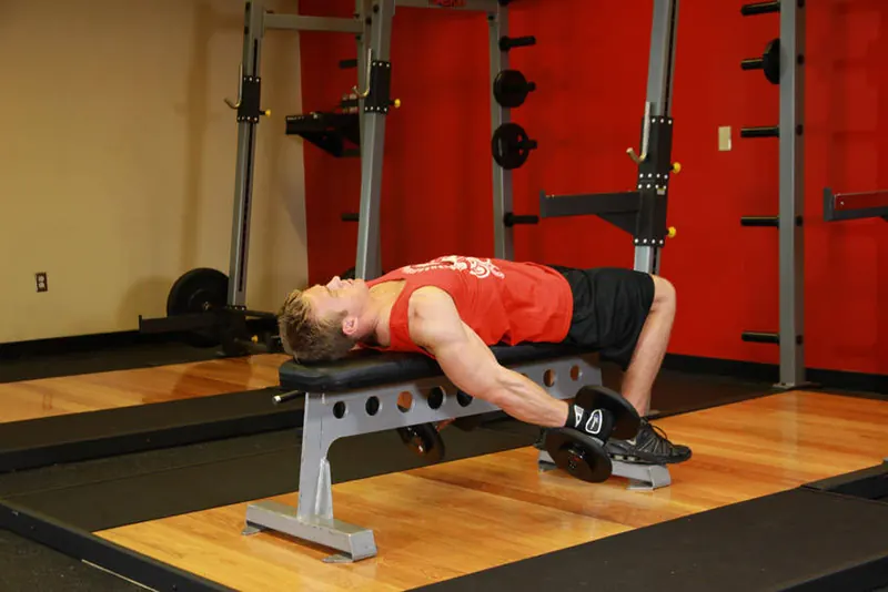 Lying Supine Dumbbell Curl: end position