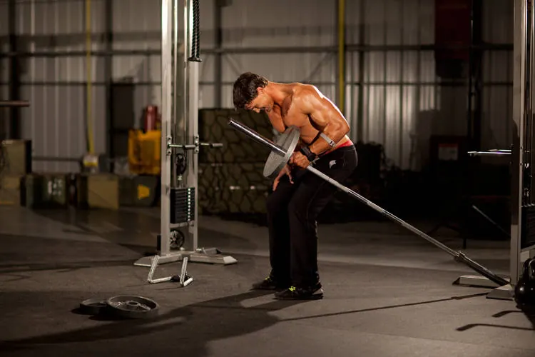 One-Arm Long Bar Row: end position