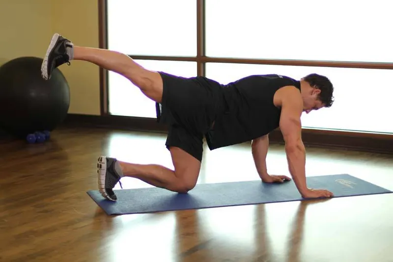 Rear Leg Raises: end position