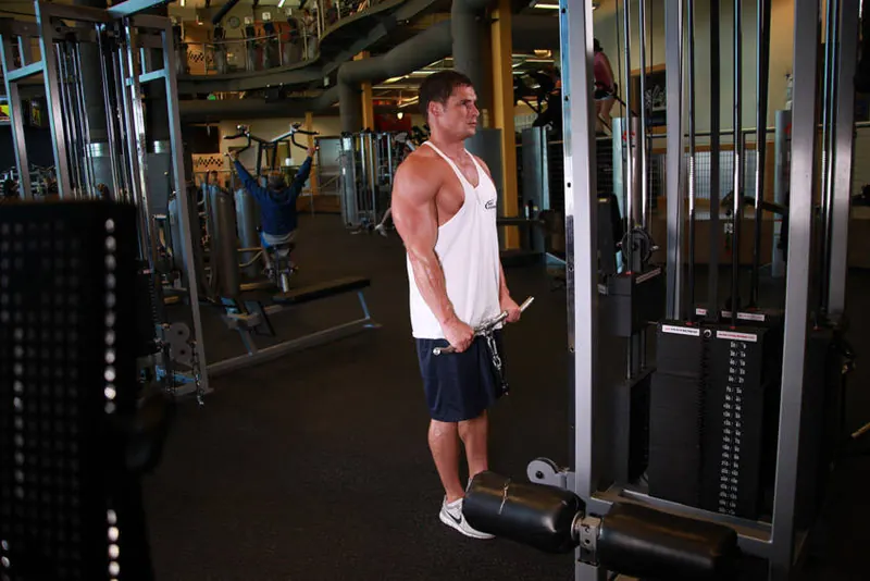Reverse Cable Curl: end position