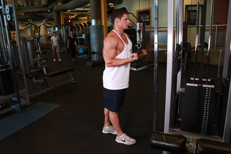 Reverse Grip Triceps Pushdown: starting position