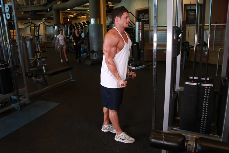 Reverse Grip Triceps Pushdown: end position