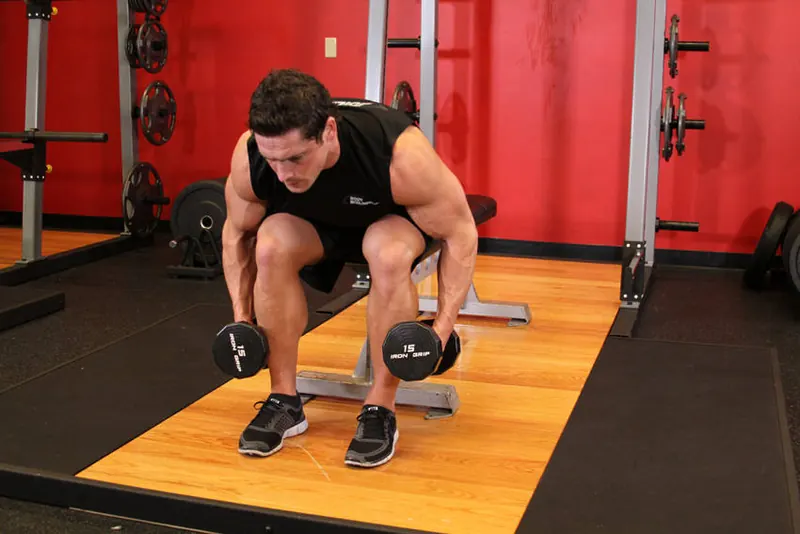Seated Bent-Over Rear Delt Raise: starting position