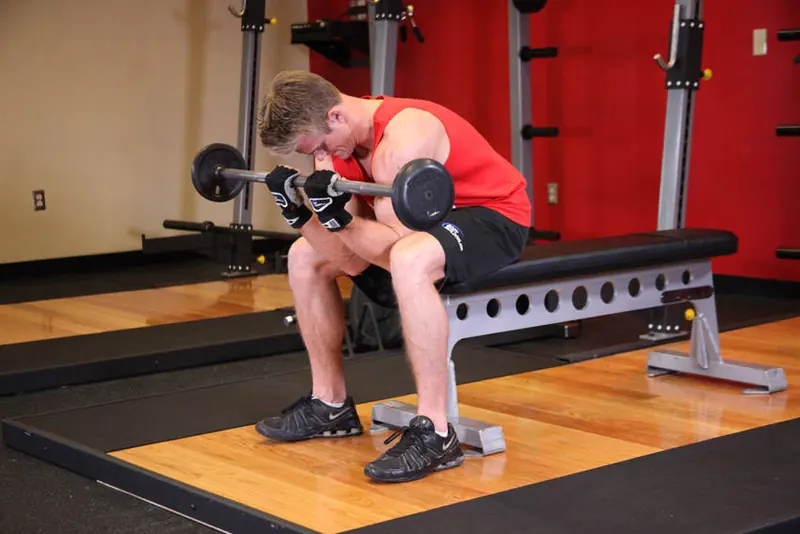 Seated Close-Grip Concentration Barbell Curl: end position