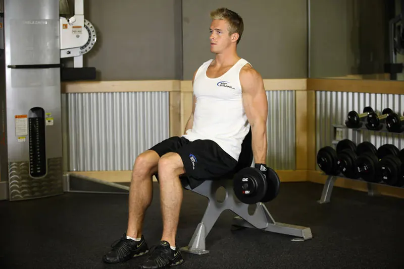 Seated Dumbbell Curl: starting position