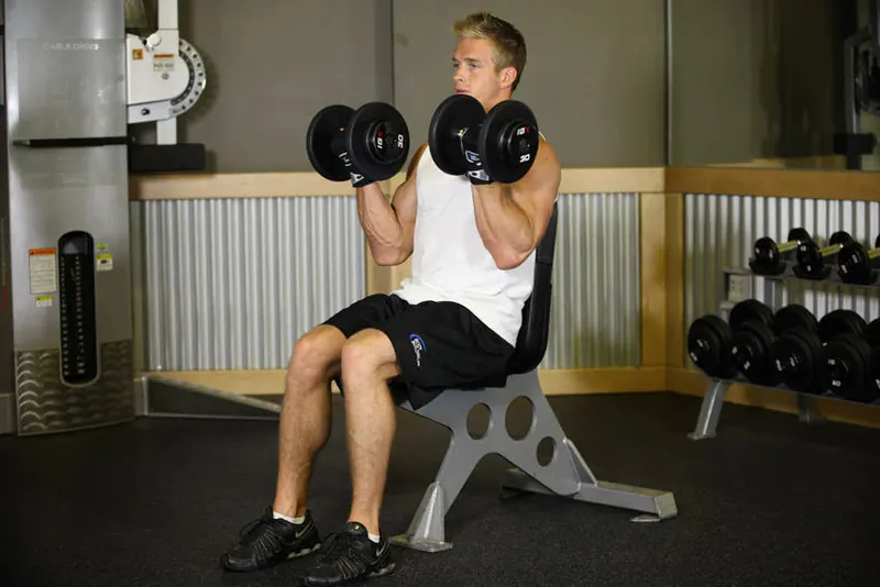 Seated Dumbbell Curl: end position