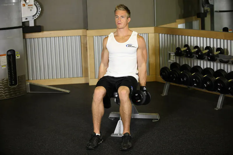 Seated Dumbbell Inner Biceps Curl: starting position