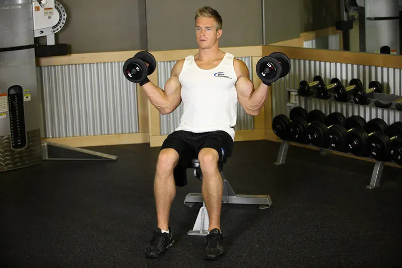 Seated Dumbbell Inner Biceps Curl: end position