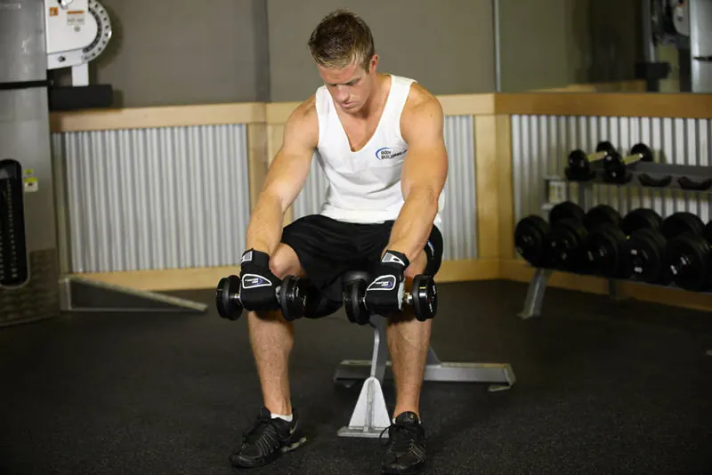 Seated Dumbbell Palms-Down Wrist Curl: starting position