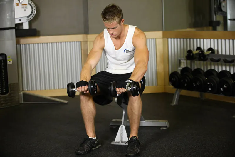 Seated Dumbbell Palms-Down Wrist Curl: end position