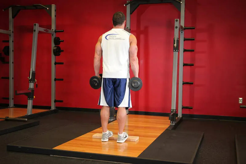 Standing Dumbbell Calf Raise: starting position