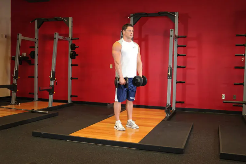 Standing Dumbbell Reverse Curl: starting position