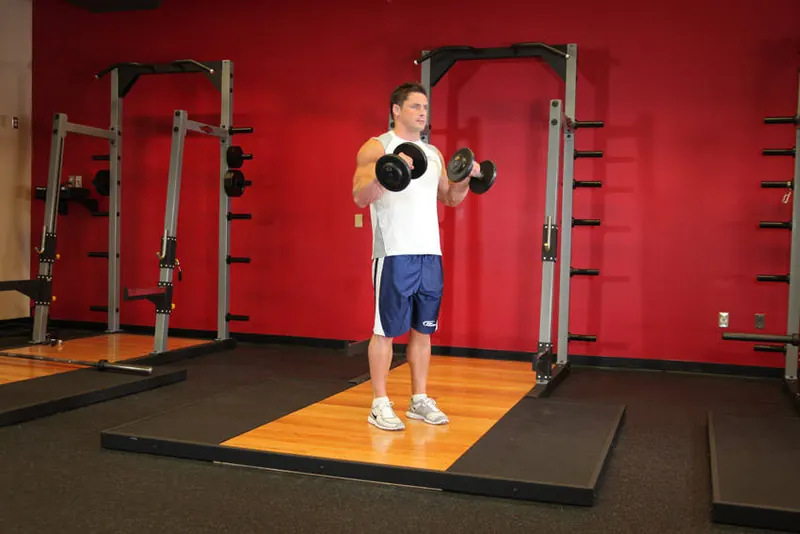 Standing Dumbbell Reverse Curl: end position