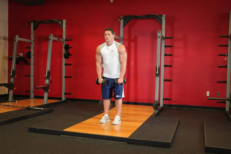 Standing Dumbbell Straight-Arm Front Delt Raise Above Head: starting position