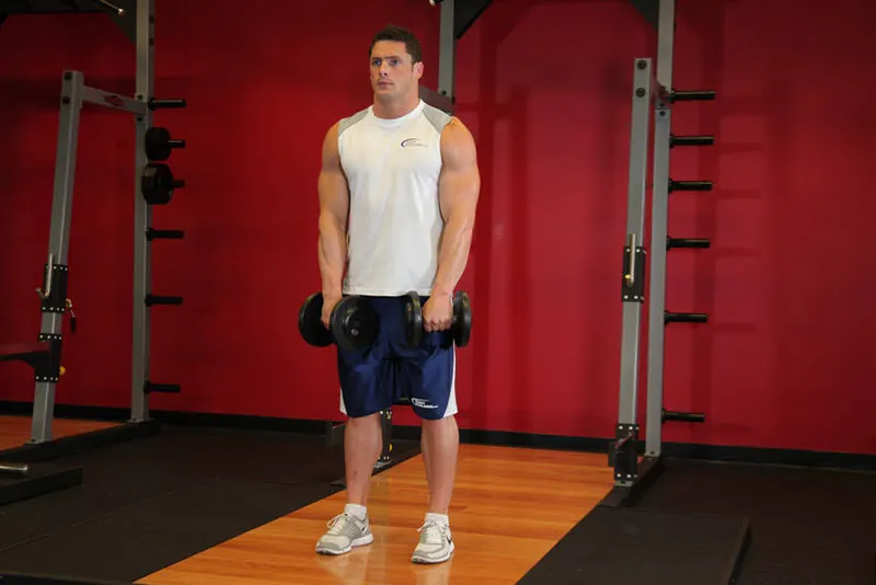 Standing Dumbbell Upright Row: end position
