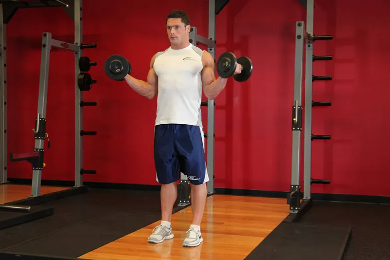 Standing Inner-Biceps Curl: end position