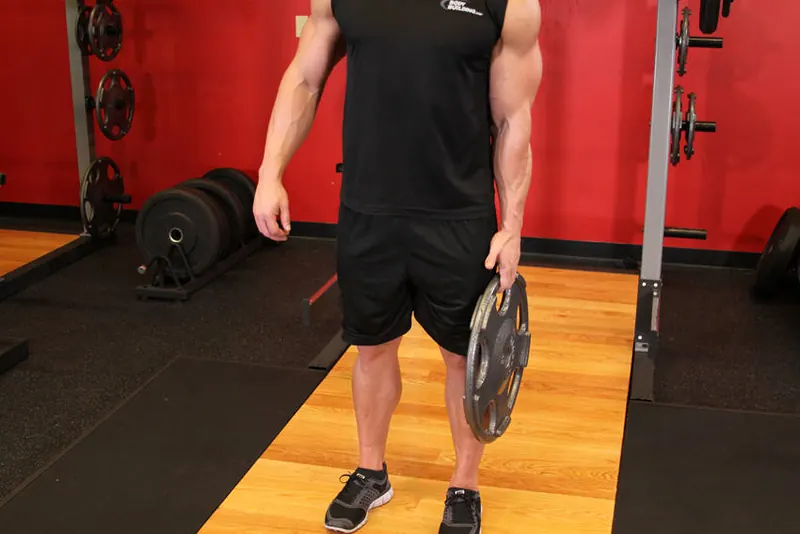 Standing Olympic Plate Hand Squeeze: starting position